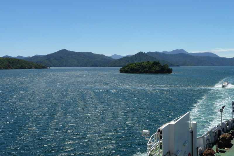 Nieuw-Zeeland 2011 - 0936